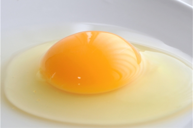 体験談 子供の卵嫌いのための克服レシピやアイデア あめっこブログ